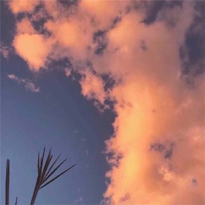 少年西游悟空传手游(暂未上线)v1.1 安卓版