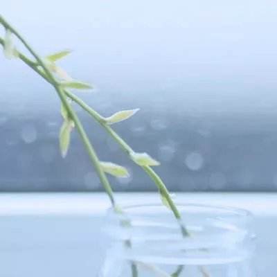 荒古山海传官方版下载